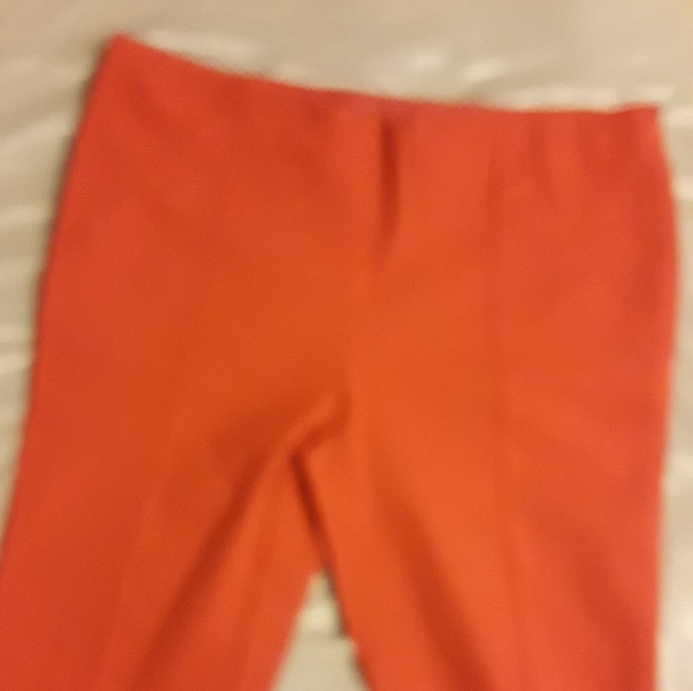 INC International Concepts Stretch Pants. NWOT